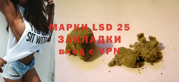 ГАЛЛЮЦИНОГЕННЫЕ ГРИБЫ Алексин