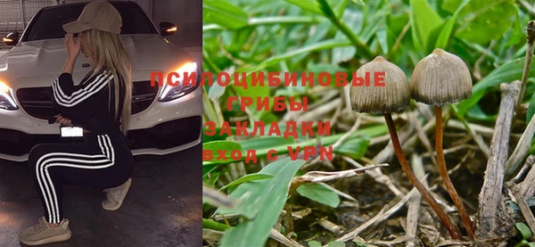 соль курить ск Арсеньев