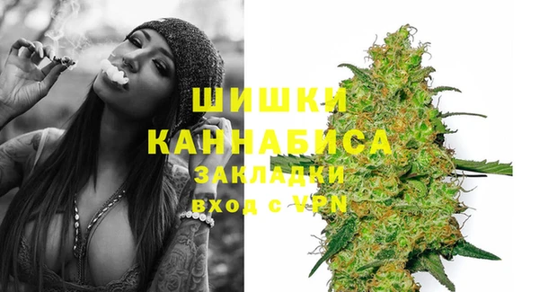 спиды Аркадак