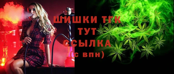 спиды Аркадак